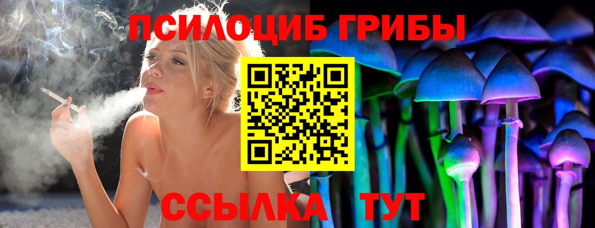 Псилоцибиновые грибы Cubensis Киржач